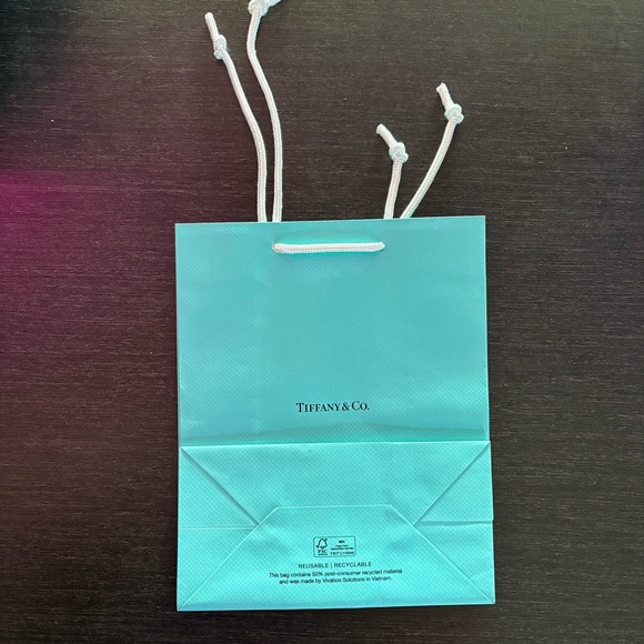 Authentic Tiffany & Co. Turquoise Blue Paper Shopping Bag Gift Bag Brand New - Picture 2 of 4